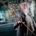 Albus Dumbledore Magic Wand – Harry Potter 2